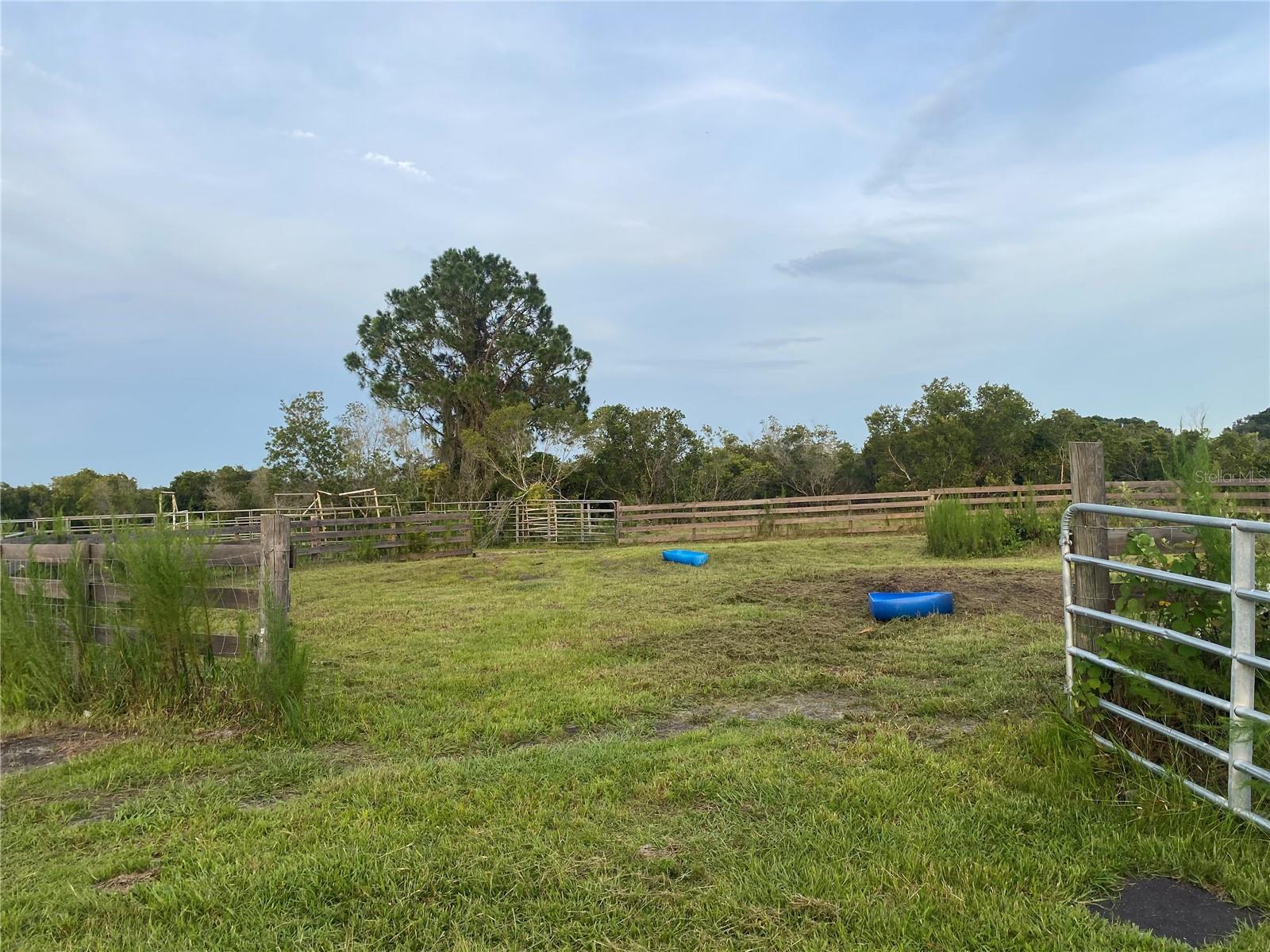 45811 MCLEOD ROAD