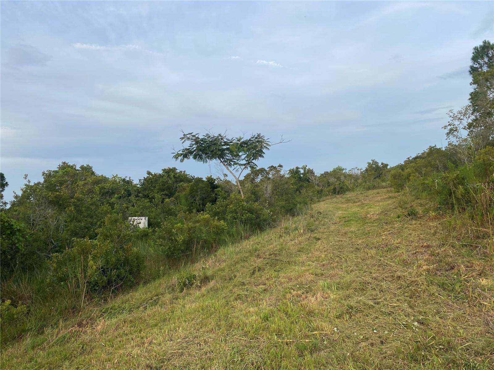 45811 MCLEOD ROAD