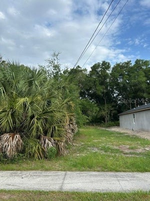 PALMETTO ST, EUSTIS, FL 32726 - Image 996cb5ff0e5dc028546d02ac2252fa9a/3722239944