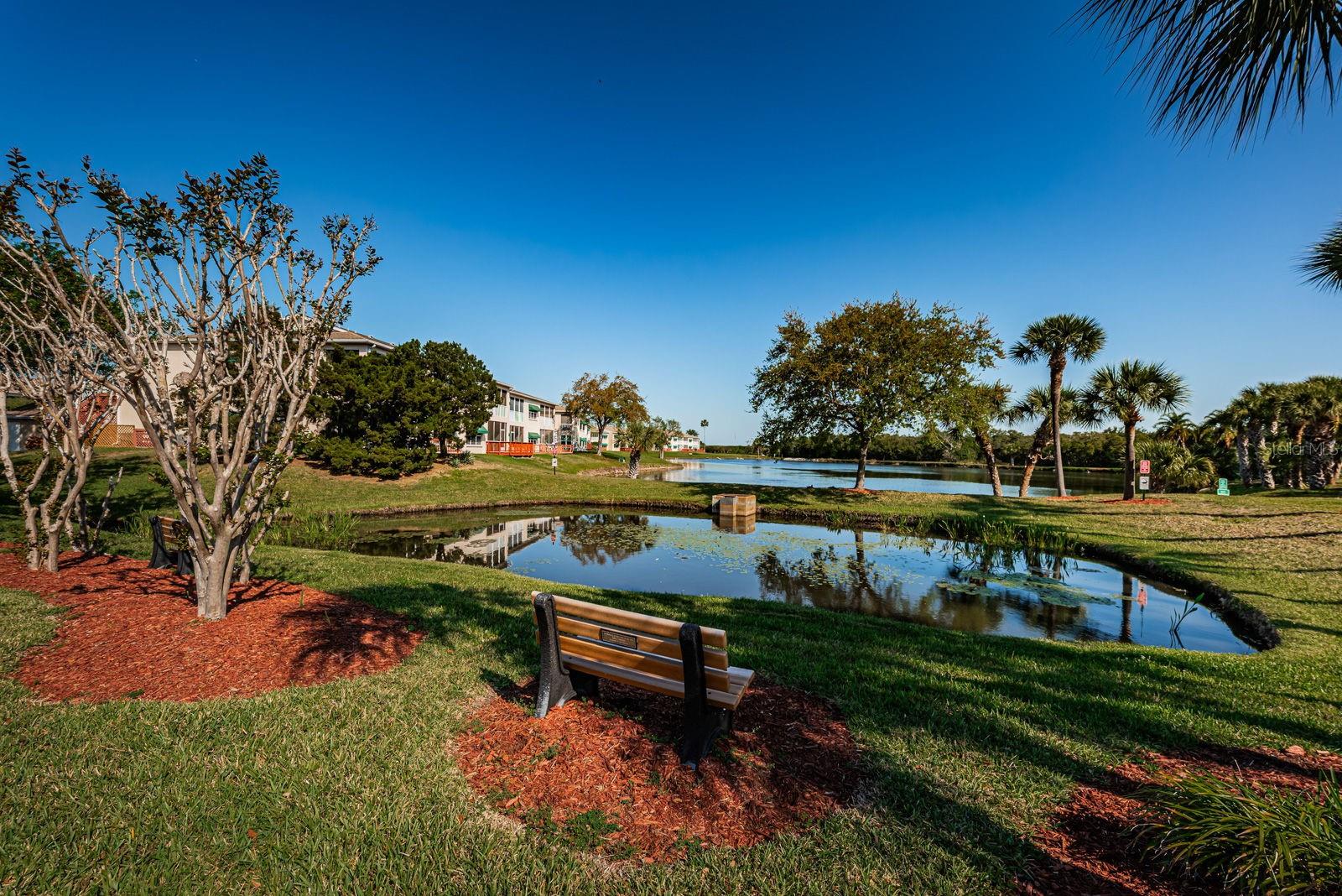 LONG BAYOU - Residential
