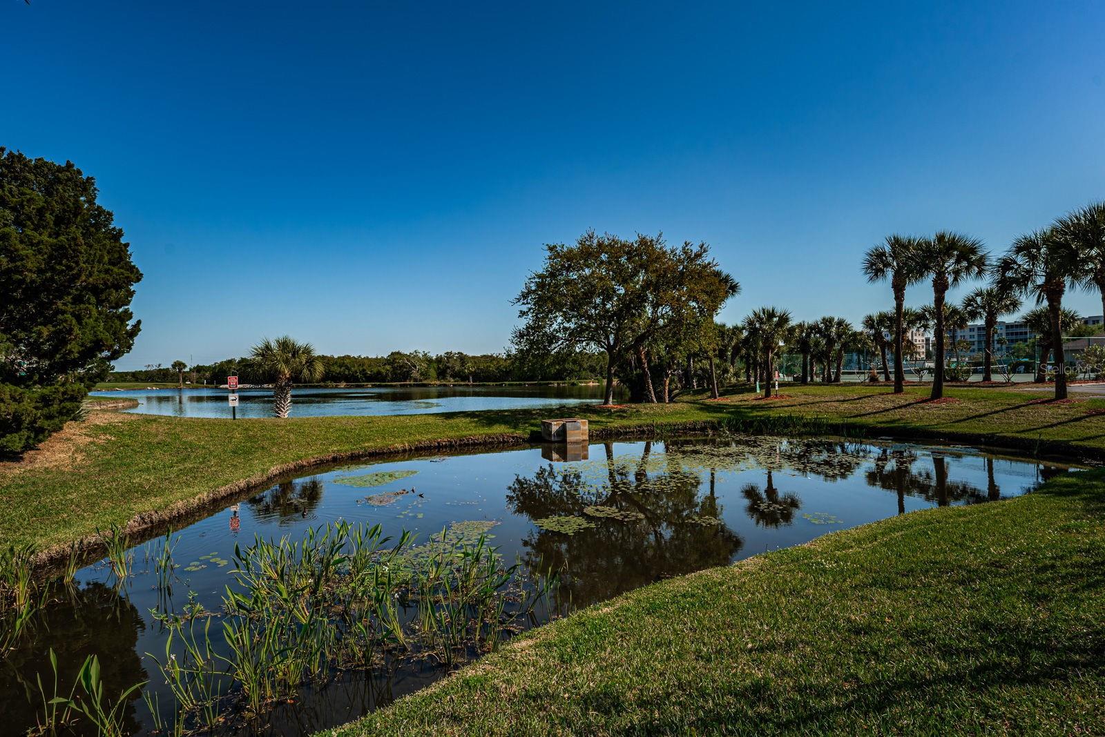 LONG BAYOU - Residential