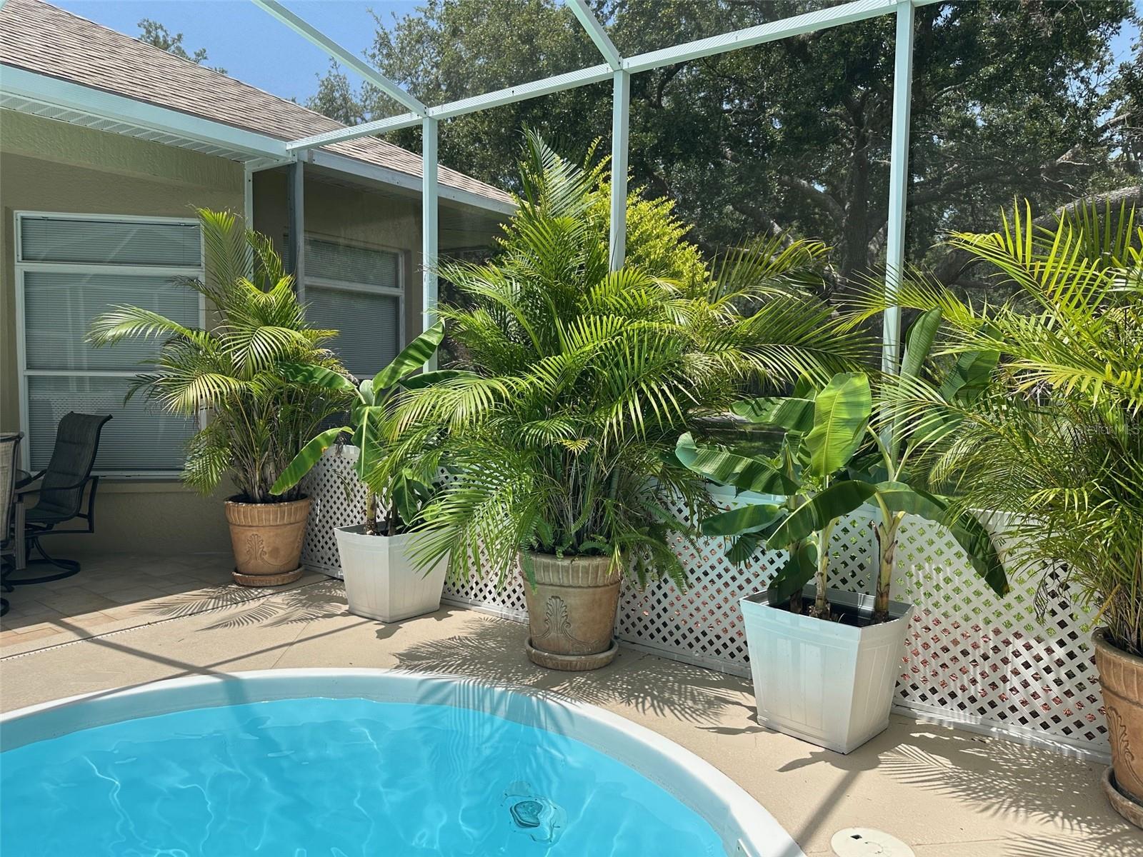 AUTUMN OAKS - Residential