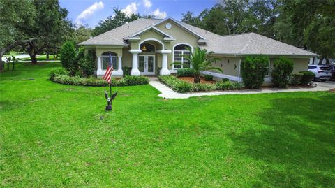 Photo of 13807 Eagles Rock Court, Hudson, FL 34667 (MLS # TB8461014)