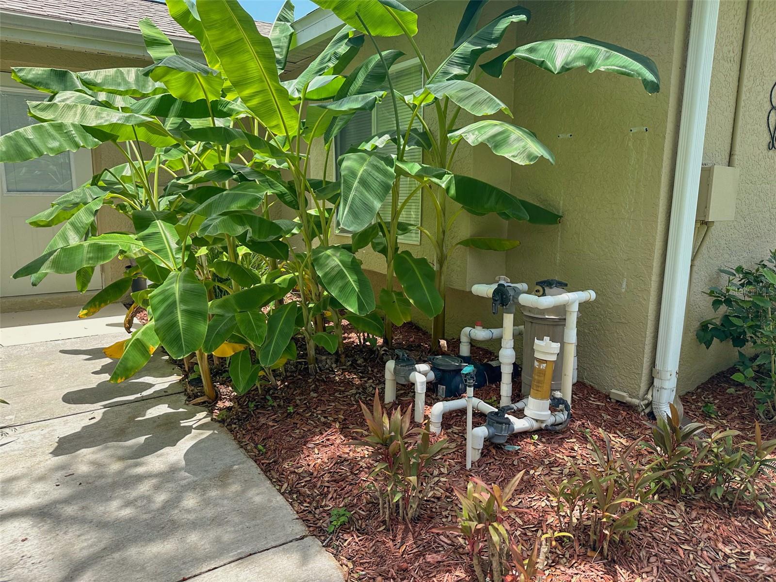 AUTUMN OAKS - Residential