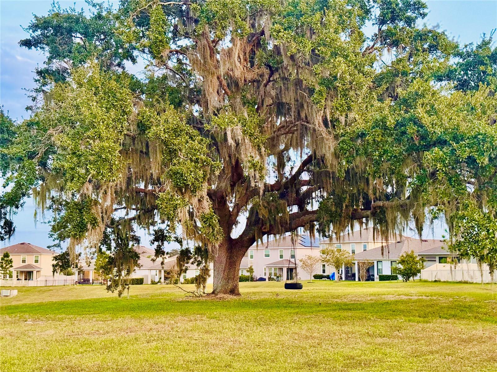 MIRADA PRCL 19-1 - Residential