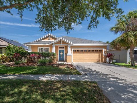 6018 GANNETDALE DRIVE LITHIA FL 33547
