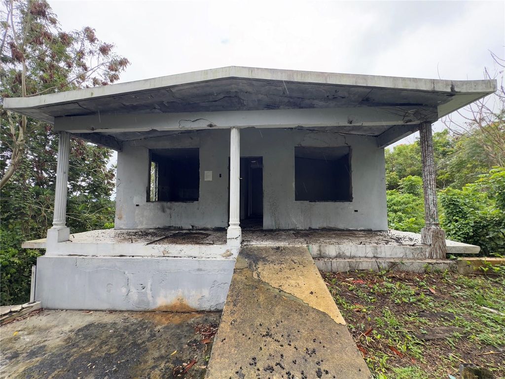 Photo of 619 Int. Cuchillas Ward, Morovis, PR 00687 (MLS # PR9120293)