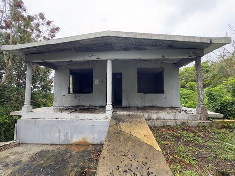 carr 619 Km 3.0 INT. CUCHILLAS WARD MOROVIS  00687