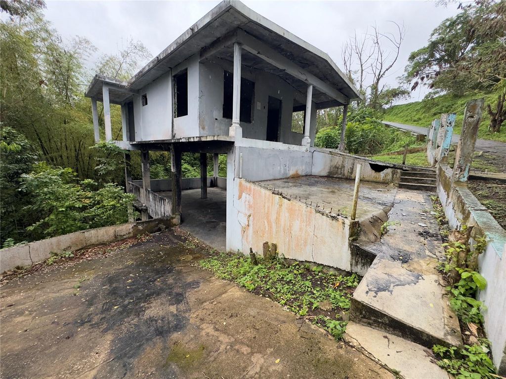 Photo of 619 Int. Cuchillas Ward, Morovis, PR 00687 (MLS # PR9120293)