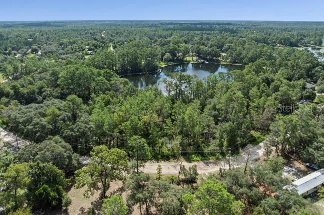 PINE VALLEY DRIVE