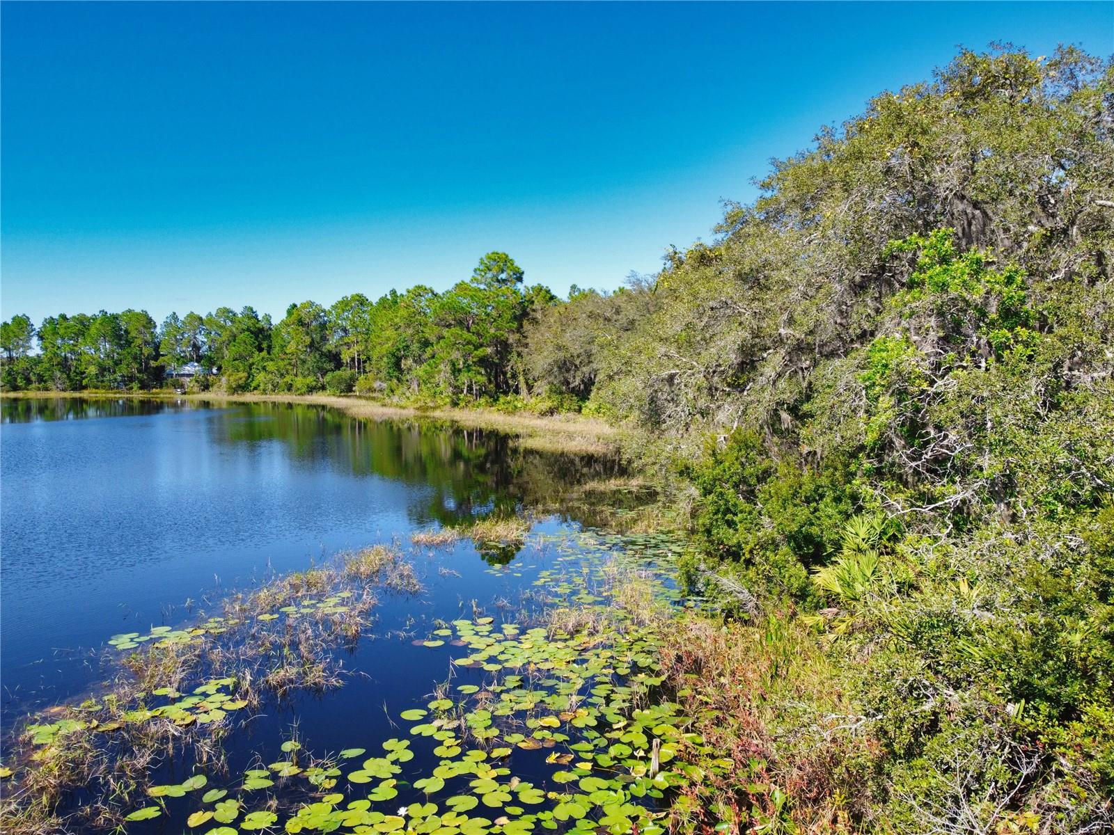 SILVER SPGS SHORES UN 31 - Land