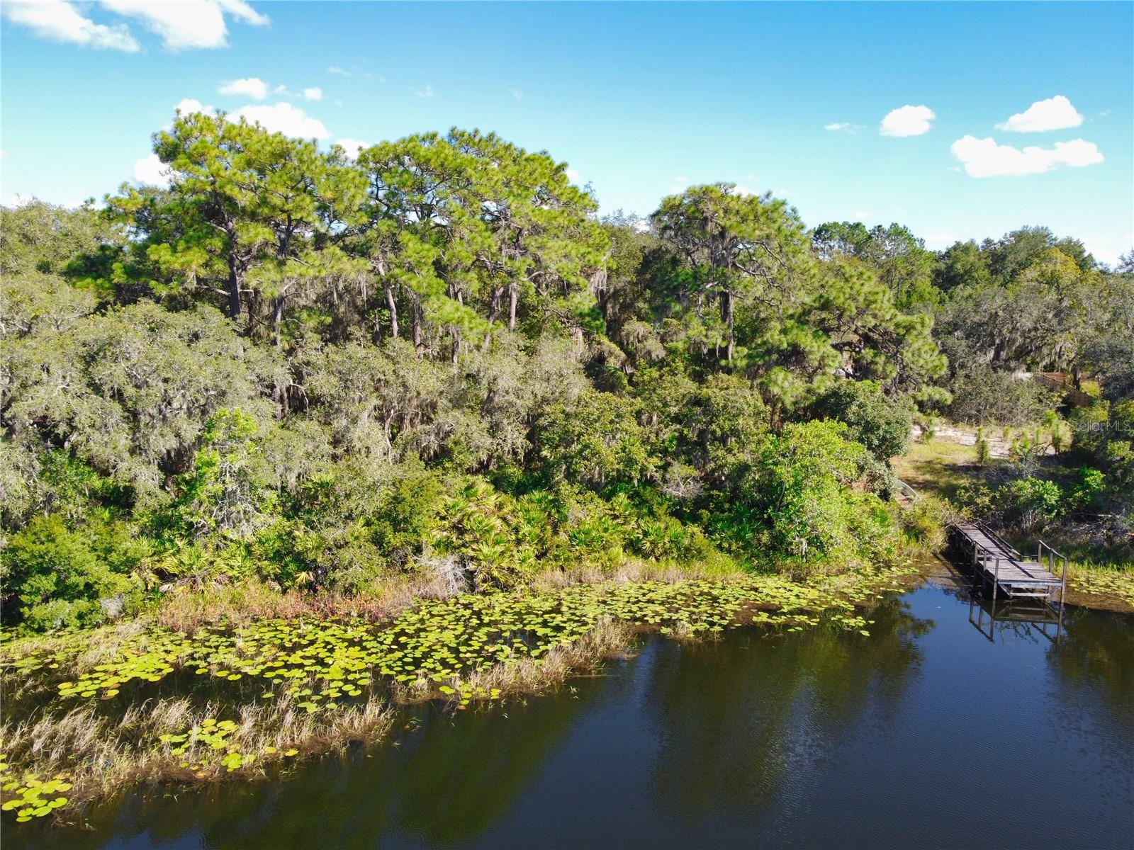 SILVER SPGS SHORES UN 31 - Land