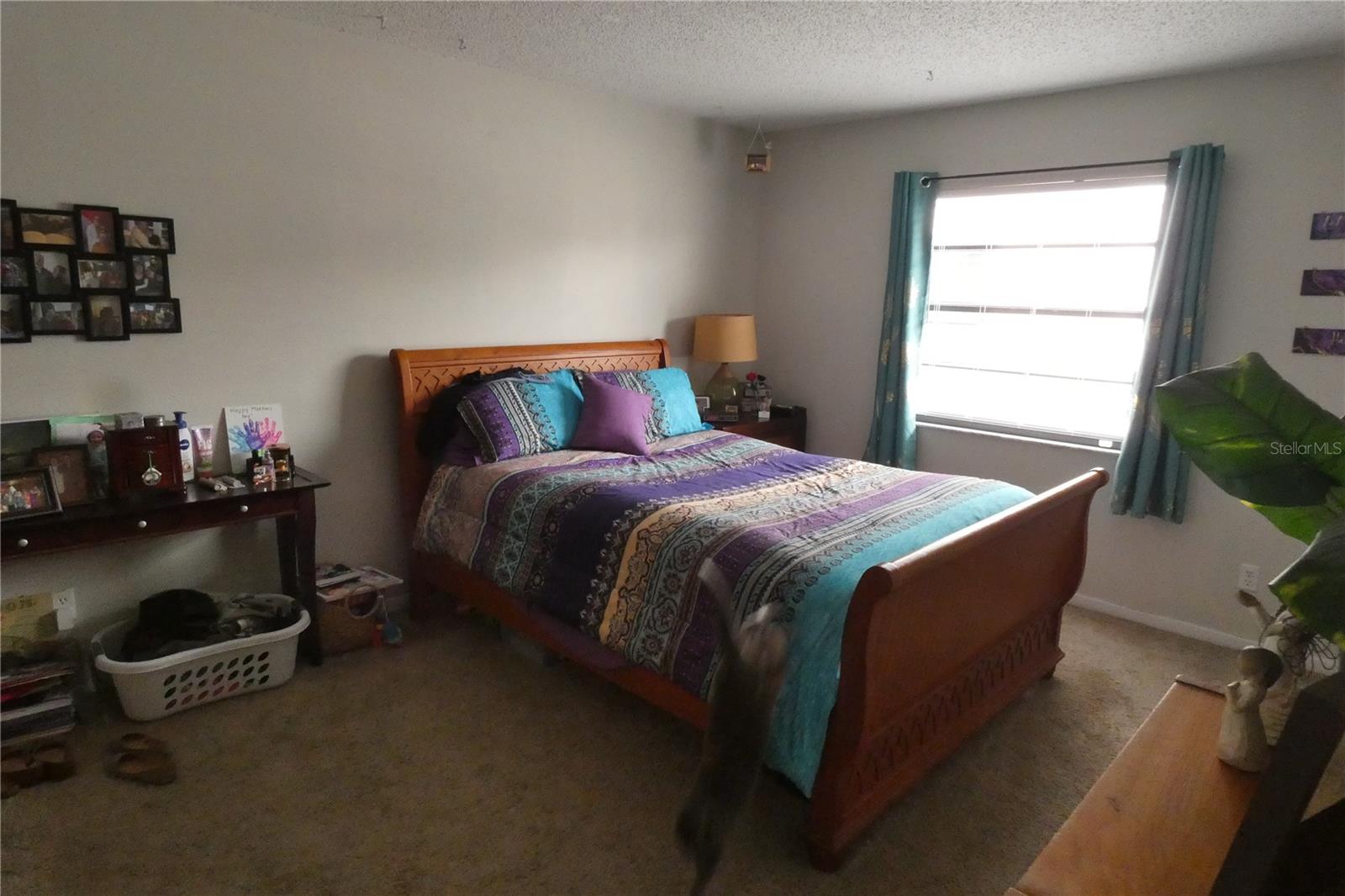 BAYBRIDGE HEIGHTS - Residential Income