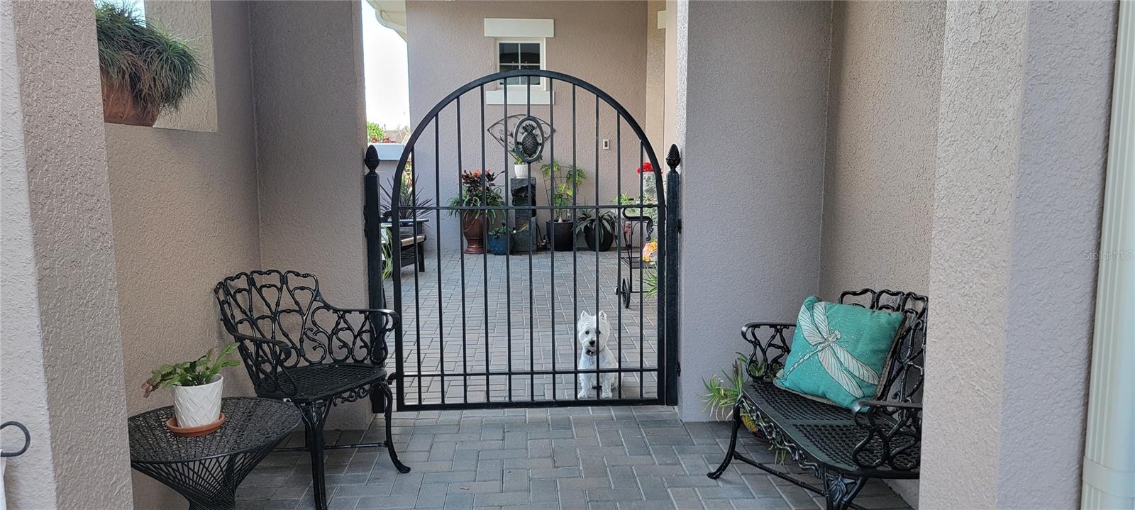 CASCADES/GROVELAND PH 3 - Residential