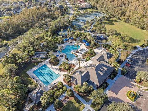 A home in TAMPA