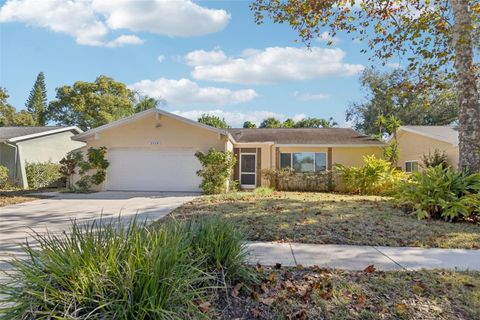 Photo of 2329 E Orangehill Avenue, Palm Harbor, FL 34683 (MLS # TB8459914)