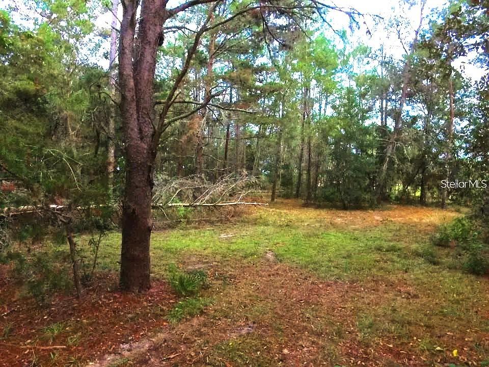 SOUTHERN WOODS AT SUGARMILL WOODS PH 02 - Land