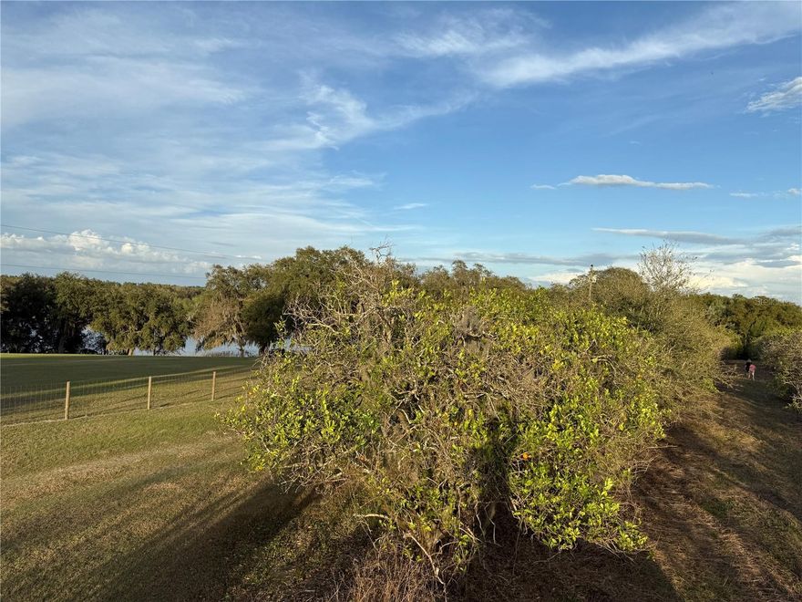 Build Your Dream Home or Invest in Prime Florida Land!
Discover the perfect opportunity to own a piece of Florida history with these newly subdivided, buildable lots. Beautiful hillside property with scenic views, located on land that was once a thriving orange grove. Enjoy the elevation, historical charm, and unique setting. Ideal for those seeking a piece of Florida's agricultural heritage with modern living potential. Situated in the heart of Weirsdale, this parcel offers a breathtaking view of Saddlebag Lake, a blend of rural charm and modern convenience. Less than 15 minutes from The Villages. There are 3 other lots next to this one that are also for sale.