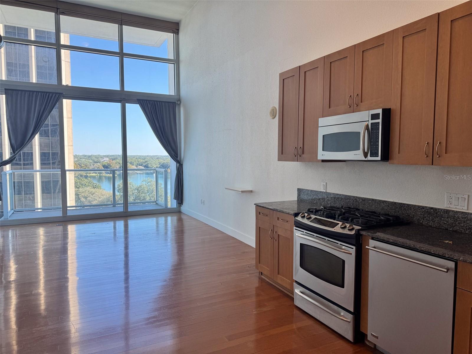 VUE/LK EOLA CONDO - Residential