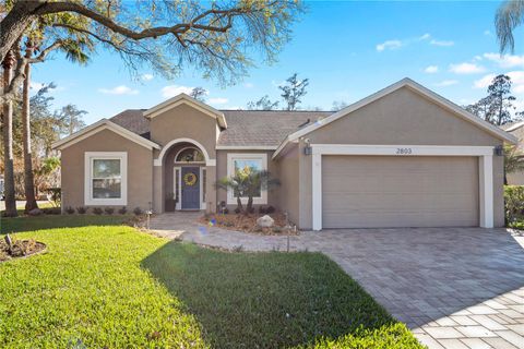 Photo of 2803 Runyon Circle, Orlando, FL 32837 (MLS # S5144682)