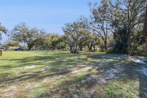 Tiny photo for 6838 Cr 607b, Bushnell, FL 33513 (MLS # O6366843)