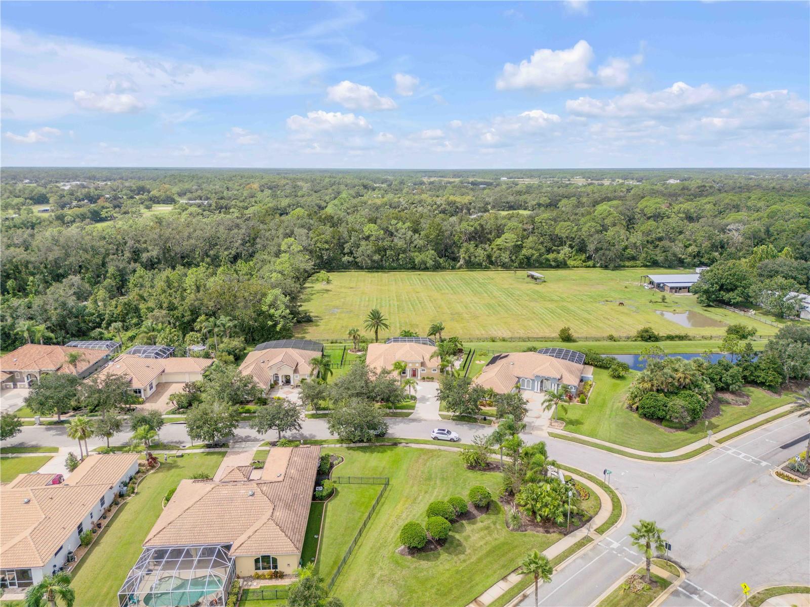 VENETIAN BAY PH 1A - Residential