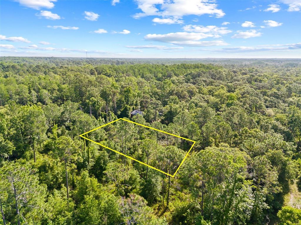 Photo of 0 Dothan Street, New Port Richey, FL 34654 (MLS # T3528455)