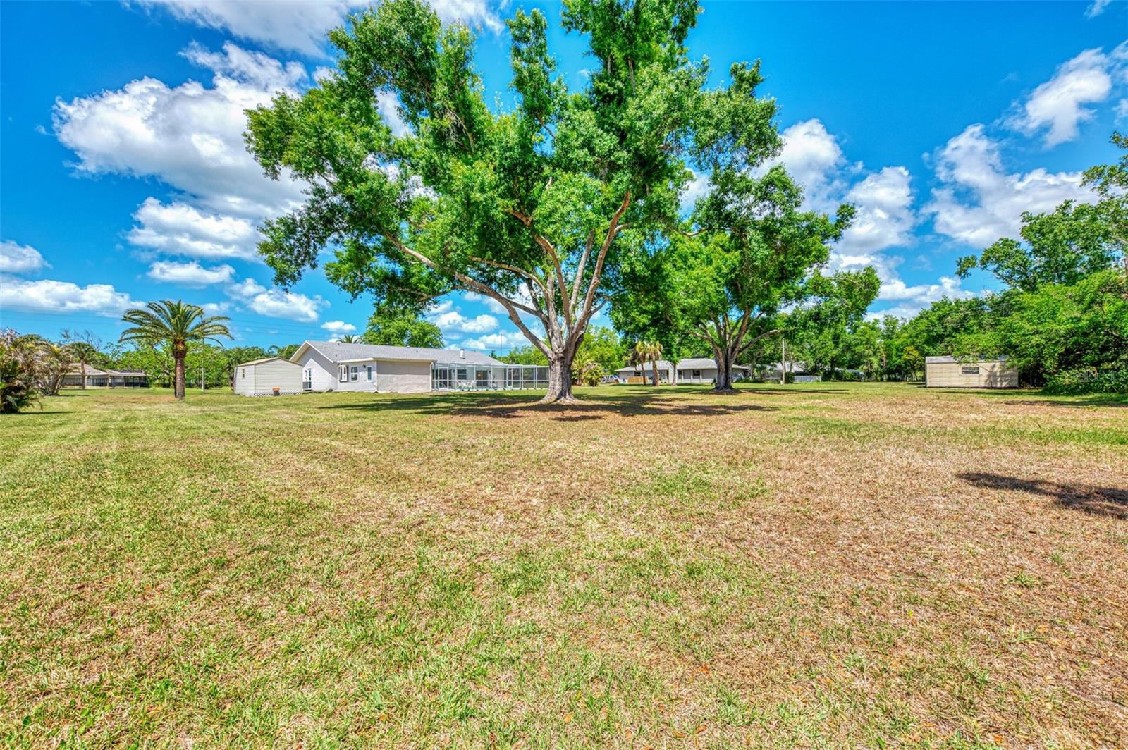 MILDRED L DOTSON REP - Residential