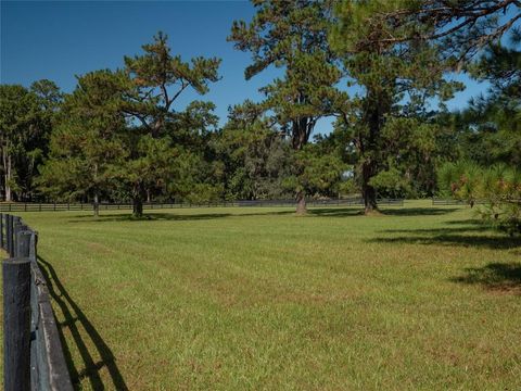 A home in OCALA