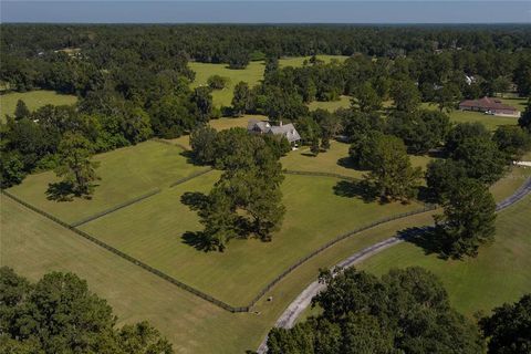 A home in OCALA