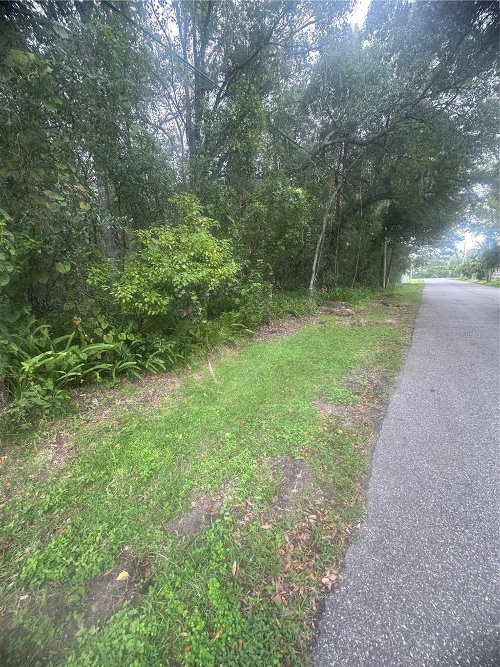 Photo of 6117 Cornelia Avenue, Orlando, FL 32807 (MLS # O6349732)