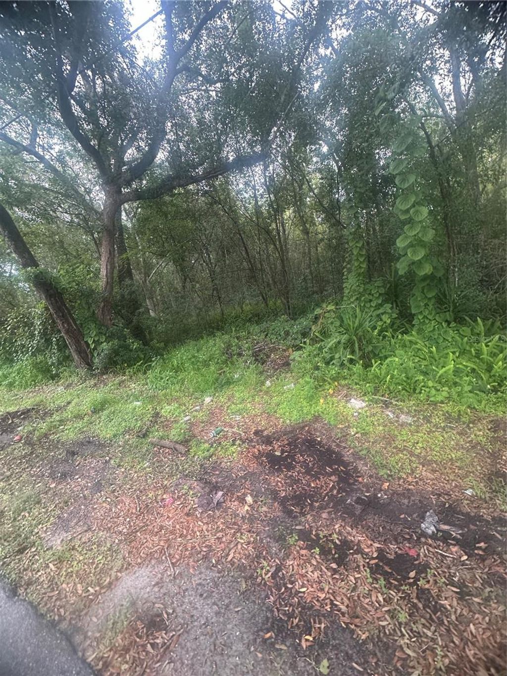 Photo of 6117 Cornelia Avenue, Orlando, FL 32807 (MLS # O6349732)