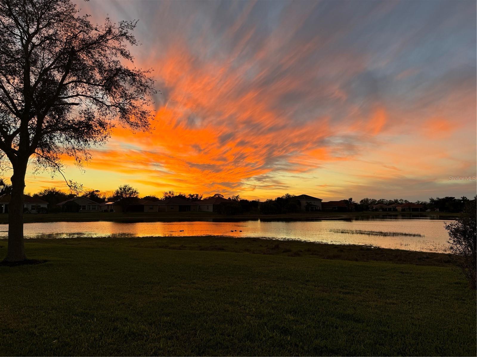 RIVER CLUB - Residential