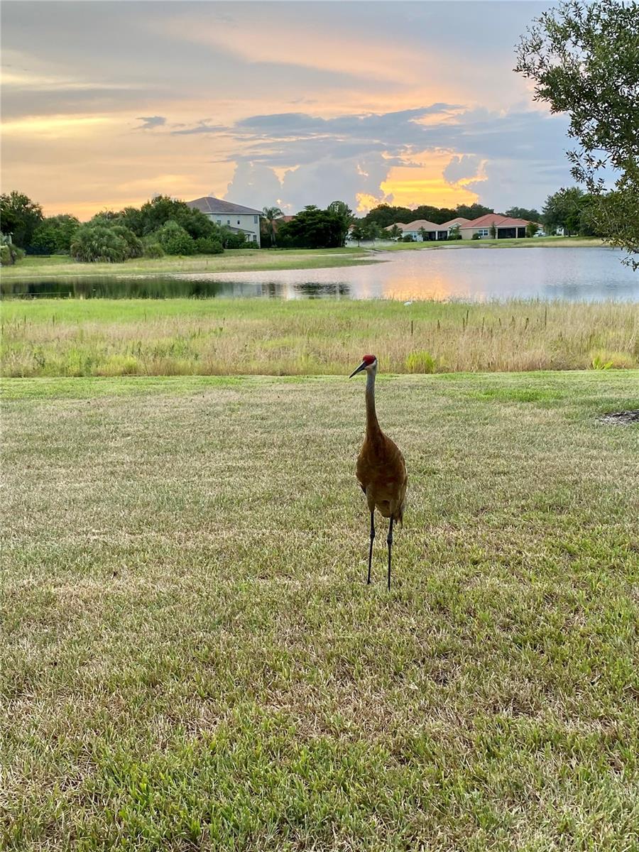 RIVER CLUB - Residential