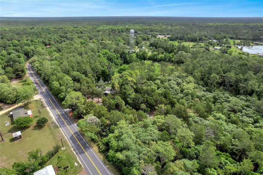 Looking for land near the Ocala national forest? This property can be combined with 3 other parcels that are also available for a total of about 13 acres. Property is 45 minutes from Ocala and 40 minutes to Ormond Beach. Other parcels are connected. See V4929854, V4929853. This property is across from 54631 County Rd 445A, Astor.