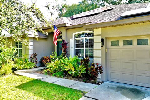 A home in WINTER GARDEN