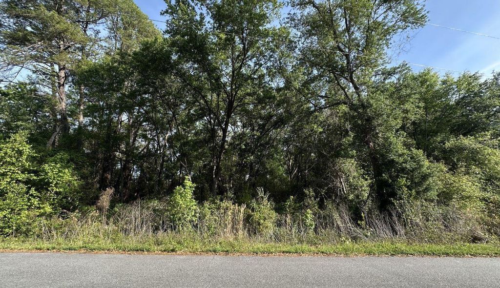Photo of 0 Oak Ln Way, Ocala, FL 34472 (MLS # O6408040)