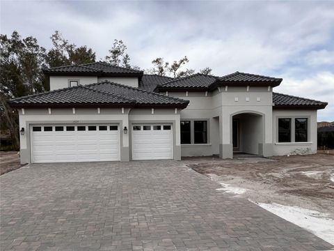 1727 ALAFIA TRAIL DRIVE LITHIA FL 33547