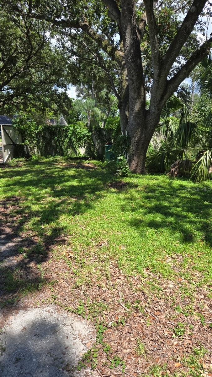 DE LEON PARK - Land
