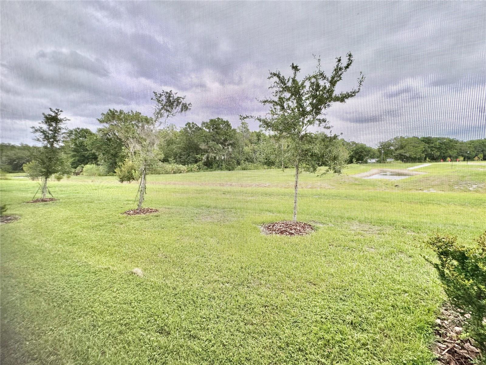 UNION PARK PH 7B PB 82 PG 138 BLOCK 9 LOT 11 - Residential Lease