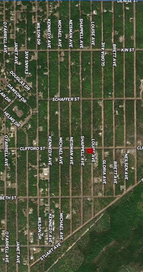 LOT 36 LOUISE AVENUE INTERLACHEN FL 32148