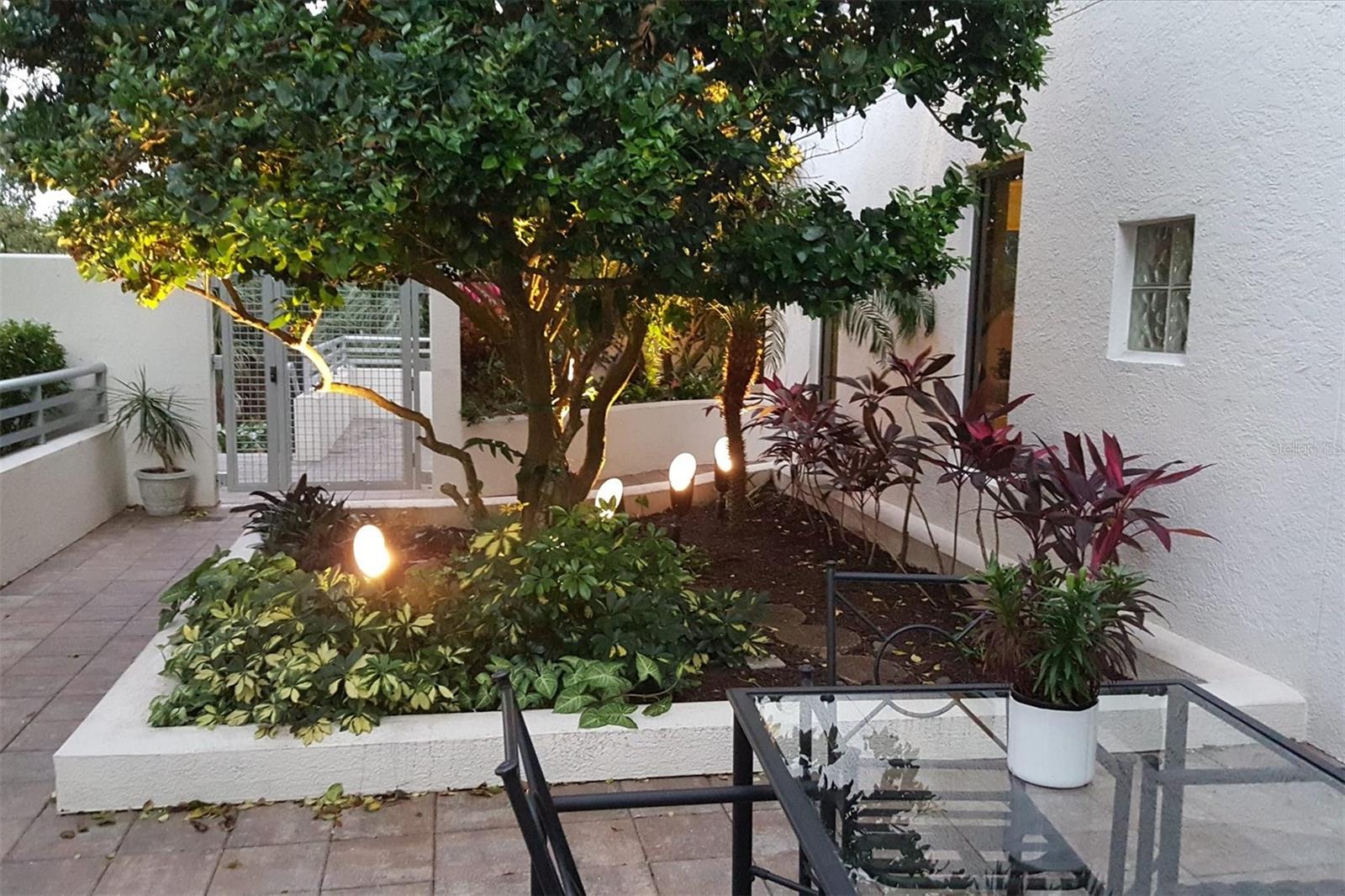 THE SAVOY ON PALM - Residential