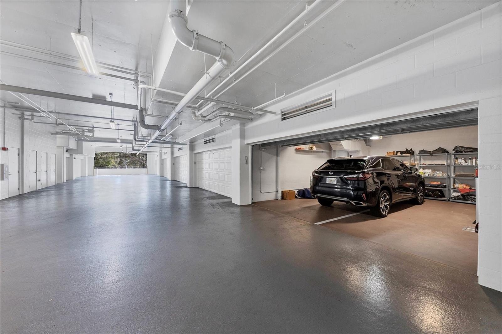 THE SAVOY ON PALM - Residential