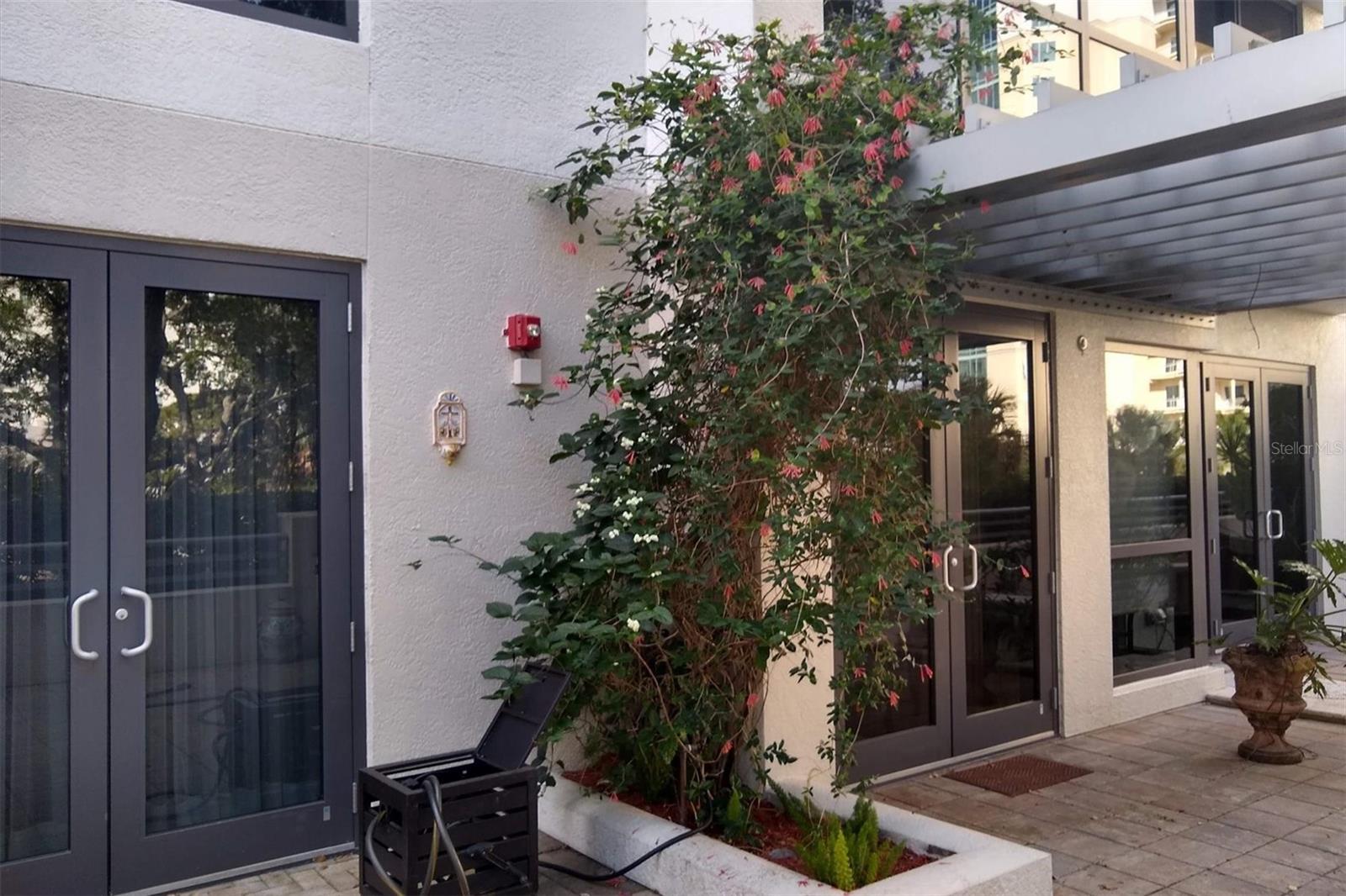 THE SAVOY ON PALM - Residential