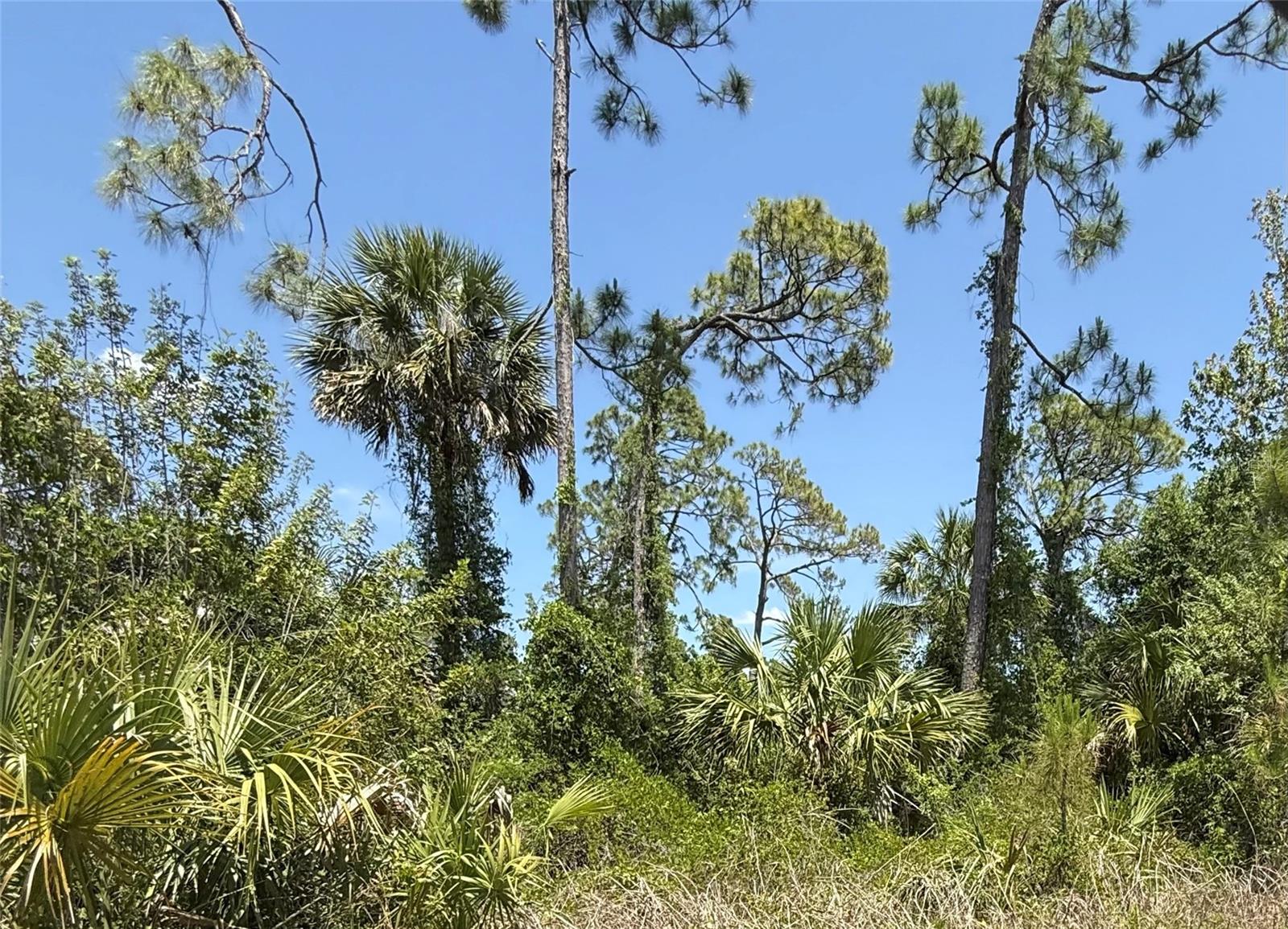 PORT CHARLOTTE SUB 45 - Land