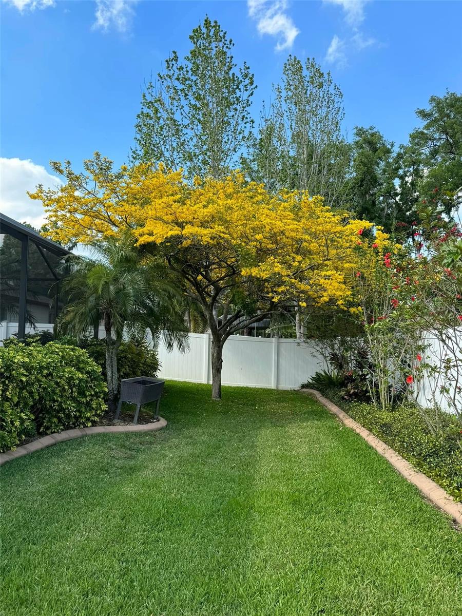 HARVEST FIELD - Residential
