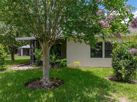 A home in ZEPHYRHILLS