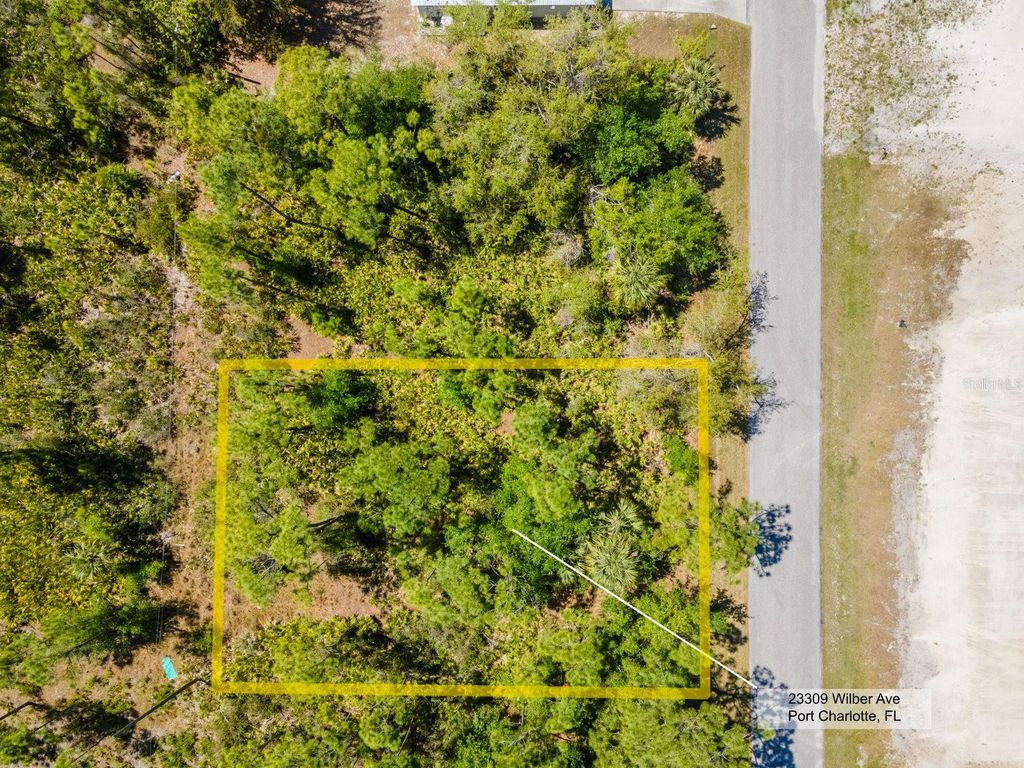 Photo of 23309 Wilber Avenue, Punta Gorda, FL 33980 (MLS # C7507052)