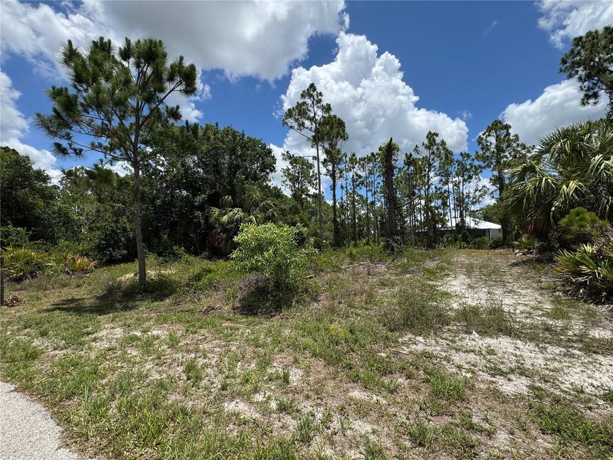 Discover your slice of paradise in Punta Gorda’s Tropical Gulf Acres! This lot offers a serene, tree-lined setting ready for your dream home. Convenient paved road access, utilities at the street, and a peaceful rural vibe—all just minutes from local schools, shopping, and dining making this an attractive option for builders or investors alike.  Act now and take the first step toward building in one of Charlotte County’s most welcoming neighborhoods