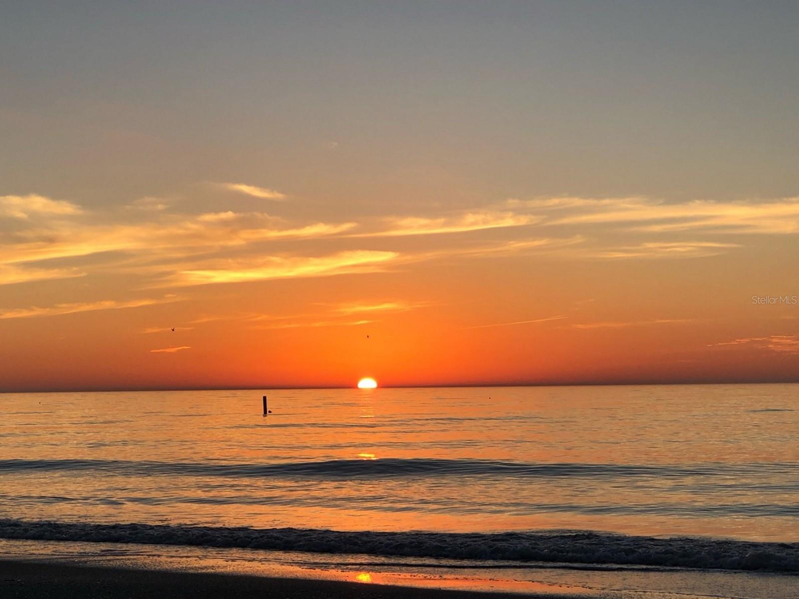 100 BLUFF VIEW DRIVE 411A